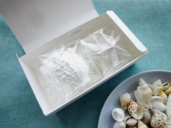 【セット販売】アロマストーン ■ 海の宝珠　貝殻・ヒトデ 7点 ■6種類から香りが選べる 3枚目の画像