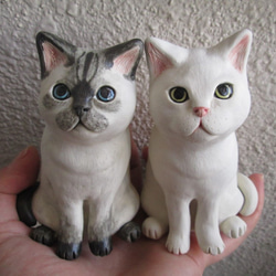 0_c212497ccc89be0e2caa058549e5