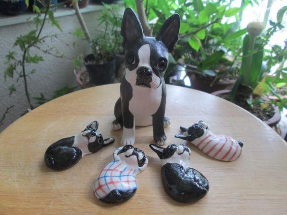 SALE】フレンチブルドッグ ボストンテリア 置物 （フランス） リアルな