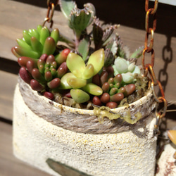 フタ付きリメ缶mini アレンジ 多肉植物・リメイク缶 一輪挿し・花瓶