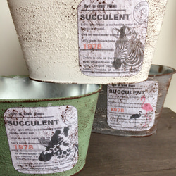 蓋付きリメ缶にシックな色の多肉寄せ植え 多肉植物 リメイク缶
