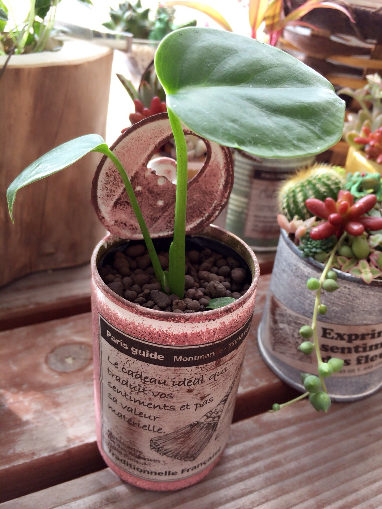 mini❁⃘*‪︎ ‪様専用ページ リメイク缶 持ちて付き バケツ型 バケツ 透明‬‬