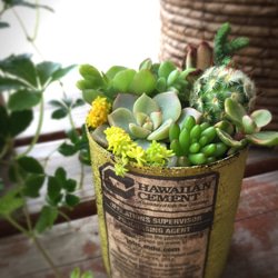 1_927777de273bbbd03f9ebbaa36f3