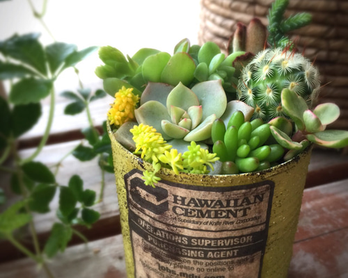 1_927777de273bbbd03f9ebbaa36f3