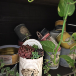蓋付きリメ缶 フタ付きリメ缶mini アレンジ 多肉植物・リメイク缶 一輪挿し・花瓶