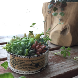 1_40034227544215b8bc3bbadf7e71