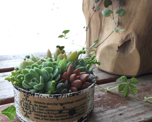 1_40034227544215b8bc3bbadf7e71