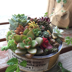 1_be6fb1ba3ef92785714211a6ac59