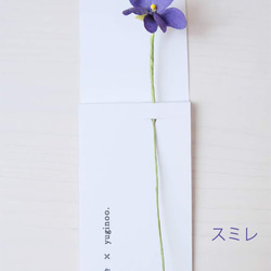 植物標本しおり（花と芽） 4枚目の画像