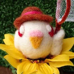 【送料無料】羊毛ﾌｪﾙﾄ  鳥さんの夏休み アルビノセキセイさんver. 2枚目の画像