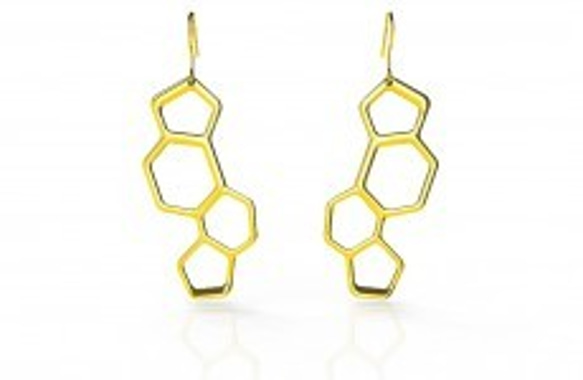 ピアス（またはイヤリング）　DNA / DNA Earrings 1枚目の画像