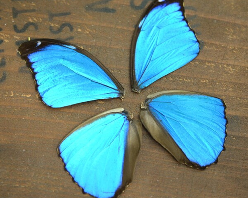 0_2d6f68bd496b37716932bead11f8