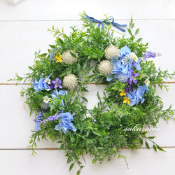 初夏☆フレッシュ・グリーンリース リース サクライロ 通販 9469922