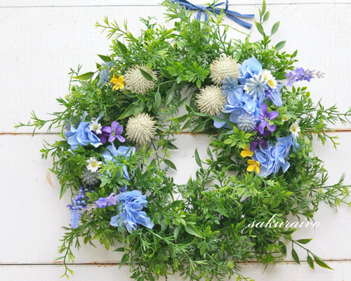 初夏☆フレッシュ・グリーンリース リース サクライロ 通販 9469922