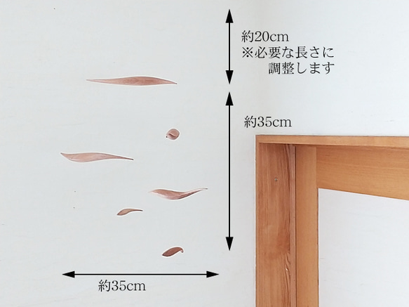  第6張的照片