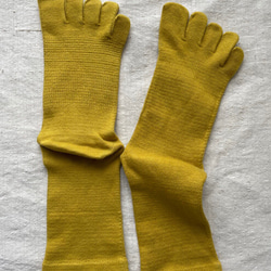 ５finger socks かりやす染めー淡い黄色　重ねばきおすすめ 24.5-26cm 2枚目の画像