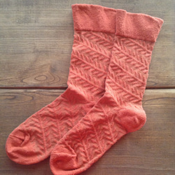 葉絲的襪子 - 珊瑚粉紅色--12限制茜的包 第3張的照片