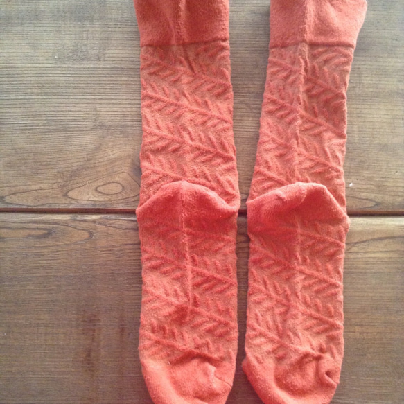 葉絲的襪子 - 珊瑚粉紅色--12限制茜的包 第5張的照片