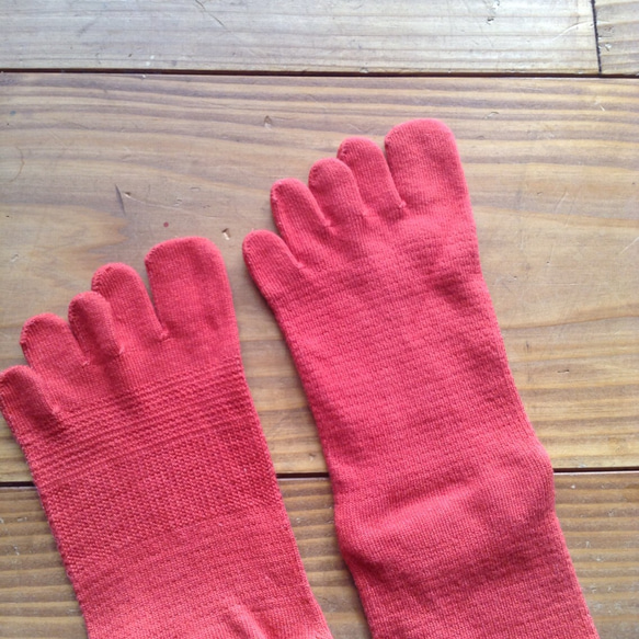 再再販♡リーフ絹靴下と五本指ソックス 3枚目の画像