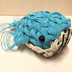 くじらさん専用 GVGsE6AaEAEdGzY.jpg