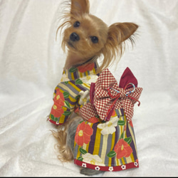 ハンドメイド　犬服　着物　和モダン 2枚目の画像