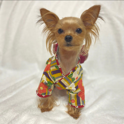 ハンドメイド　犬服　着物　和モダン 3枚目の画像