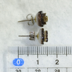 （1件）黑殼玫瑰金耳釘（8毫米，鈦制柱） 第5張的照片