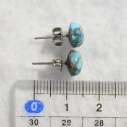 (1 件) 藍銅綠松石耳釘（8 毫米，鈦柱） 第5張的照片