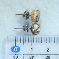 (1 件) 牡蠣銅綠松石耳釘（8 毫米，鈦柱） 第5張的照片