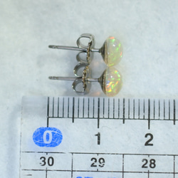 (1 件) 高品質珍貴蛋白石耳釘（6 毫米，鈦柱） 第5張的照片