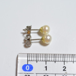 優質淡水珍珠耳環（5mm，鈦柱） 第5張的照片