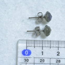 （1點）拉長，玫瑰形切割耳環（7毫米·鈦後） 第5張的照片