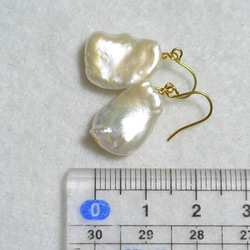 金色鈦製耳環 大顆橢圓珍珠 第5張的照片
