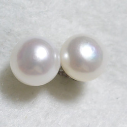 淡水珍珠單粒穿孔（特大號10mm，鈦制柱） 第3張的照片