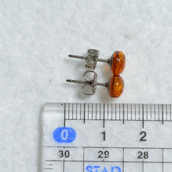 （1分）波羅的海琥珀耳釘 -  6毫米輕干邑（鈦柱） 第5張的照片
