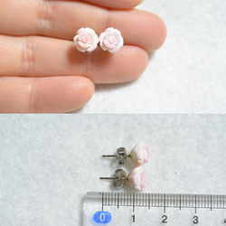 Queen Conch貝殼貝殼玫瑰耳環（8毫米·鈦柱） 第5張的照片