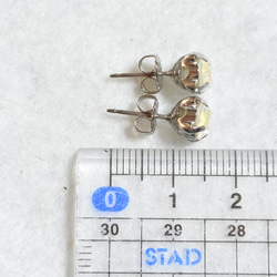 施華洛世奇·Chaton的耳環（銀色·6毫米·水晶·淺灰色·喜悅） 第5張的照片