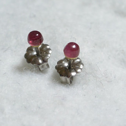 非洲紅寶石耳釘（3毫米·鈦柱） 第3張的照片