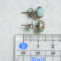 （一分）Copper Amazonite耳釘（8毫米·鈦柱） 第5張的照片