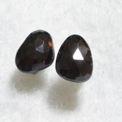 （1件）黑色尖晶石玫瑰切花耳環（鈦金屬帖子） 第3張的照片