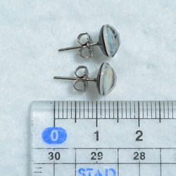 （單點）Avalon貝殼和水晶耳釘（8毫米鈦金屬柱） 第5張的照片