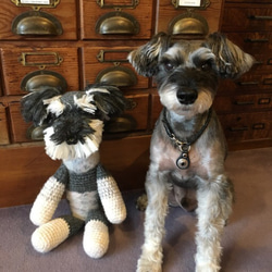 オーダー製作❣️編みぐるみ ミニチュアシュナウザーのらぶちゃん