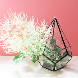 ステンドグラスのテラリウム・フラワーベースとしても・観葉植物・エアープランツ・ガラス・母の日・容器 4枚目の画像