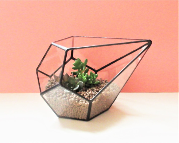 ステンドグラスのテラリウム・フラワーベースとしても・観葉植物・エアープランツ・ガラス・母の日・容器 3枚目の画像