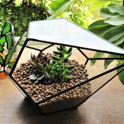 ステンドグラスのテラリウム・フラワーベースとしても・観葉植物・エアープランツ・ガラス・母の日・容器 6枚目の画像