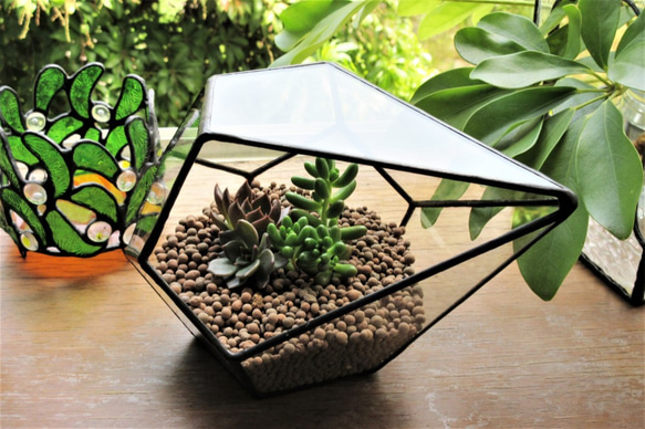 ステンドグラスのテラリウム・フラワーベースとしても・観葉植物・エアープランツ・ガラス・母の日・容器 6枚目の画像
