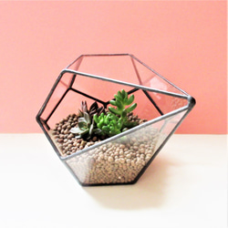 ステンドグラスのテラリウム・フラワーベースとしても・観葉植物・エアープランツ・ガラス・母の日・容器 7枚目の画像