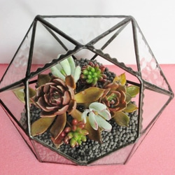 ダイヤモンド型テラリウム〈受注作品〉・ステンドグラス・観葉植物