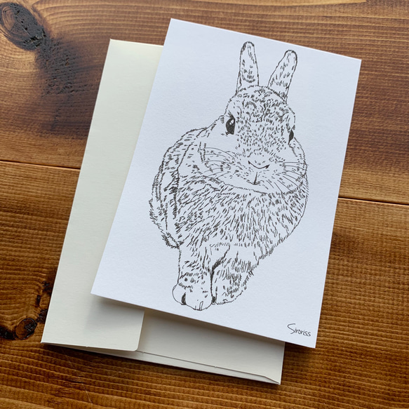 カード＆封筒セット（カード３枚・封筒３枚）ウサギ・アライグマ・レッサーパンダ 4枚目の画像