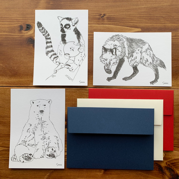 カード＆封筒セット（カード３枚・封筒３枚）シロクマ・オオカミ・ワオキツネザル 1枚目の画像